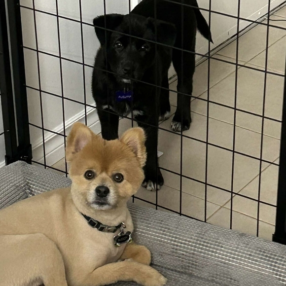 Meet your Posher, Nicole - Picture 6 of 7